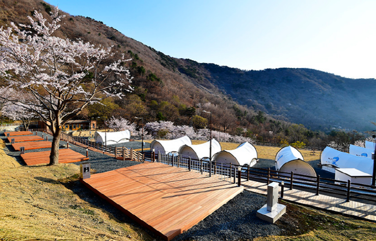 진주 월아산자연휴양림