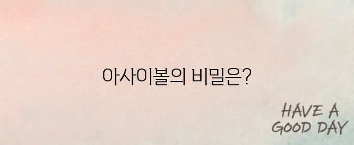 요아정 아사이볼 다이어트