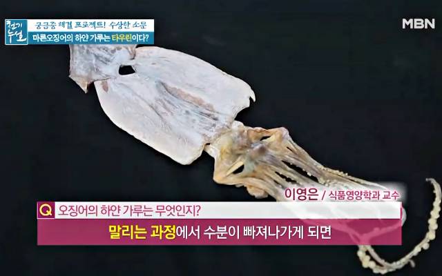 마른 오징어 하얀가루 곰팡이 마른오징어보관법