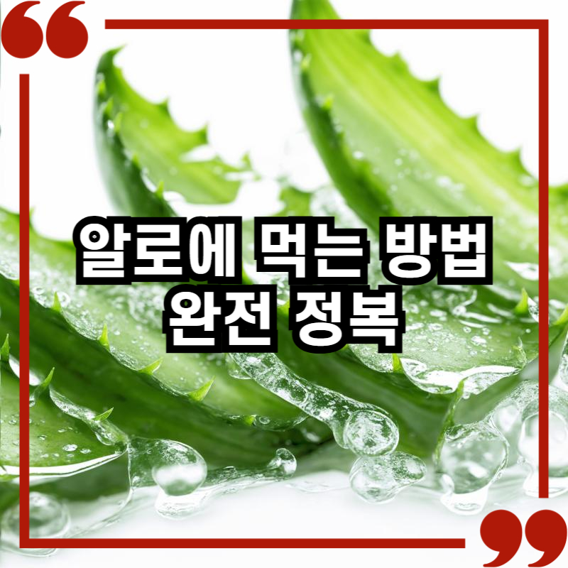 알로에 먹는 방법