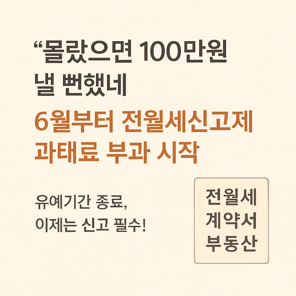 전월세신고제 과태료 유예 종료