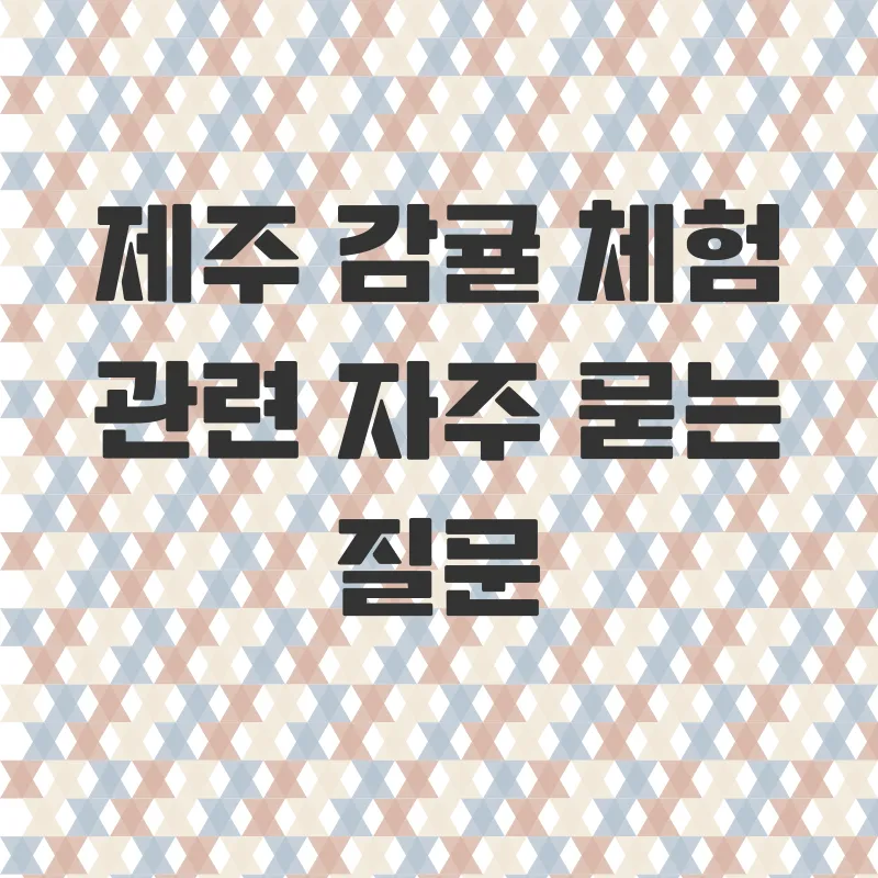 제주감귤체험_4