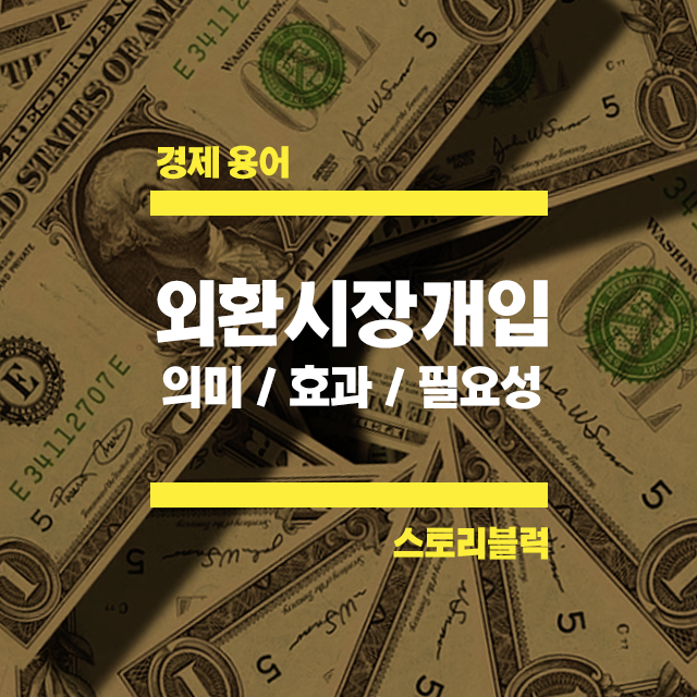  환율, 외환시장 개입 의미/ 필요성/ 효과