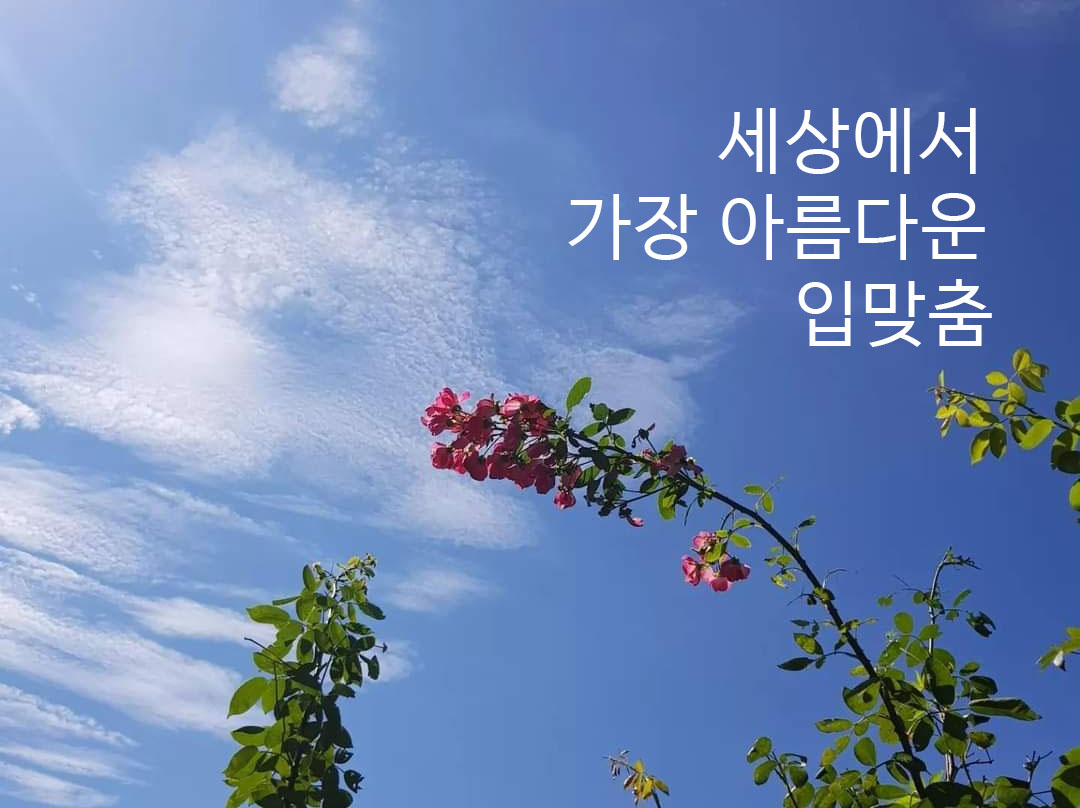  세상에서 가장 아름다운 입맞춤