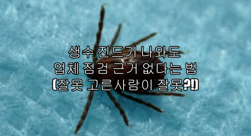  생수 진드기 나와도 업체 점검 근거 없다는 법(잘못 고른사람이 잘못?!)