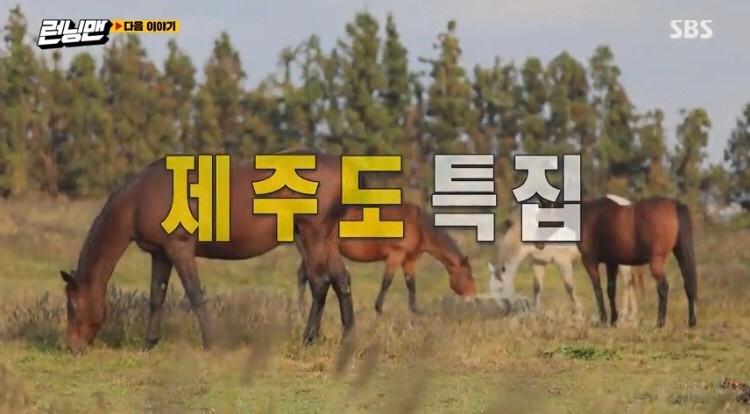  런닝맨에 출연한 이주빈 한지은 최여진 소이현 제주도 나이 키 인스타 사생활및 기녀들의 특별한 프로필 이야기