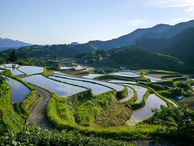 논 밭에 관한 18가지 꿈 해몽 꿈 풀이