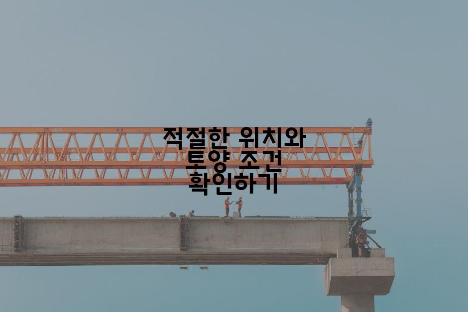 적절한 위치와 토양 조건 확인하기