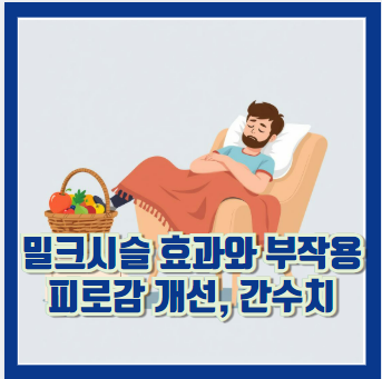 밀크시슬 효과 부작용