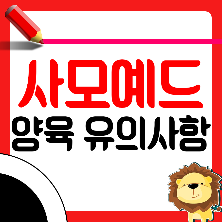사모예드의 성격과 특징, 키울 때 유의사항1
