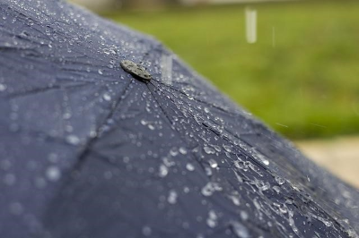 검은 우산 위로 떨어지는 빗방울