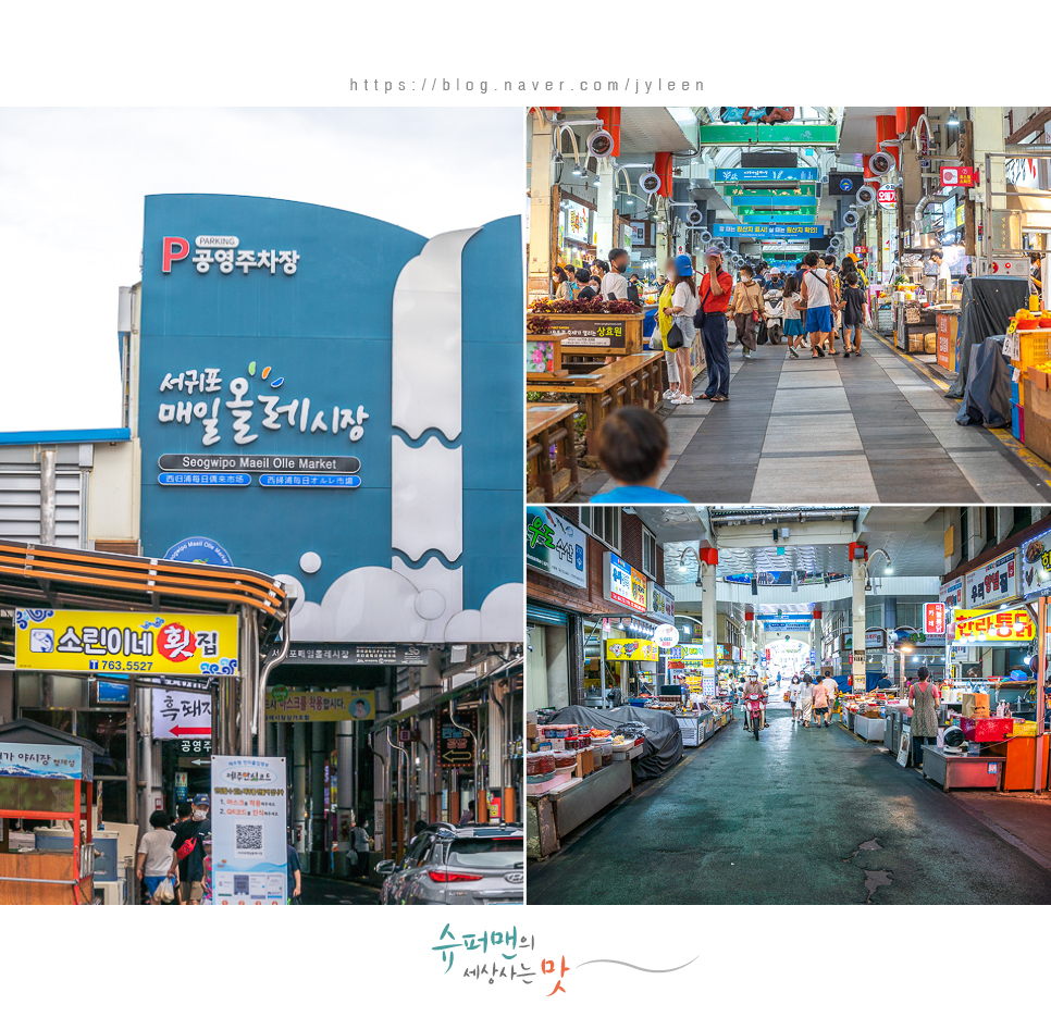 승합차렌트 제주도 27