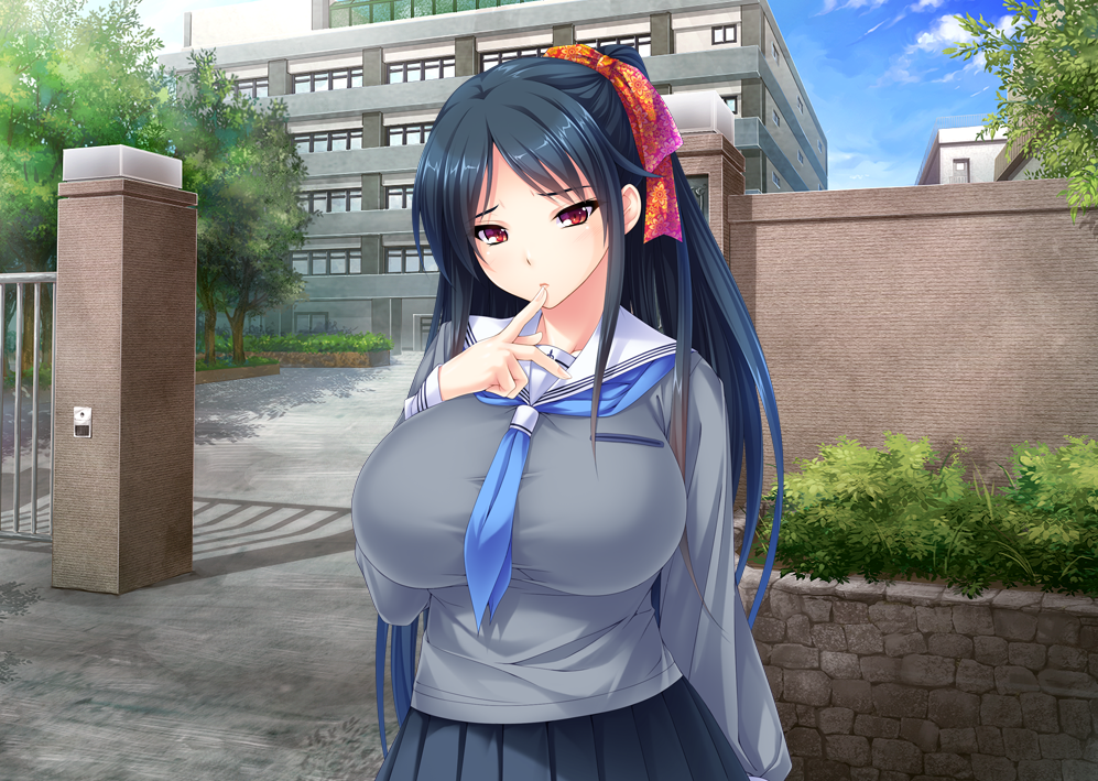  조잡한! 품위없는! 때마침!~ (無様に！下品に！都合よく！巨根崇拝！孕ませオナホ学園 - Miel) 다운로드