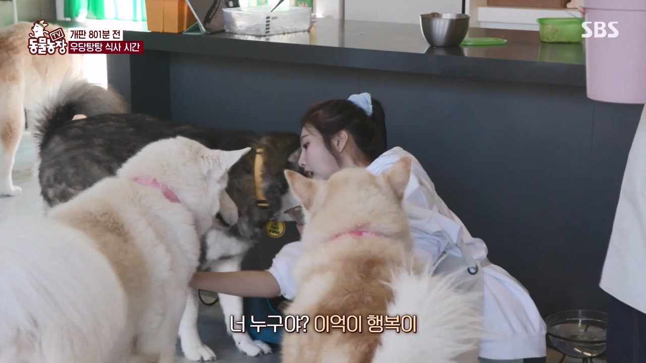 TV 동물농장.E1147.231127p-NEXT.mp4_20231126_170355.625.jpg