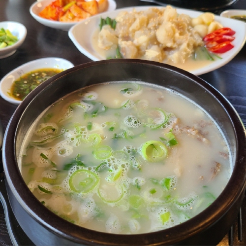 설곰탕 이미지