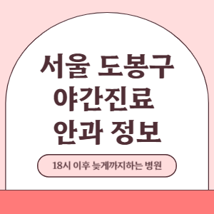 서울 도봉구 야간진료 안과 병원 (18시 이후 늦게까지하는 병원)