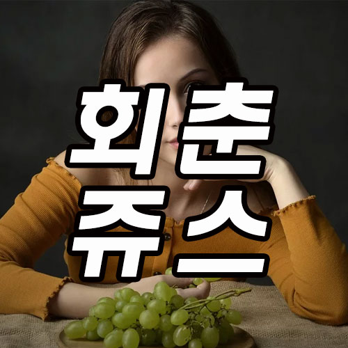  몸신 나이야가라쥬스 레시피