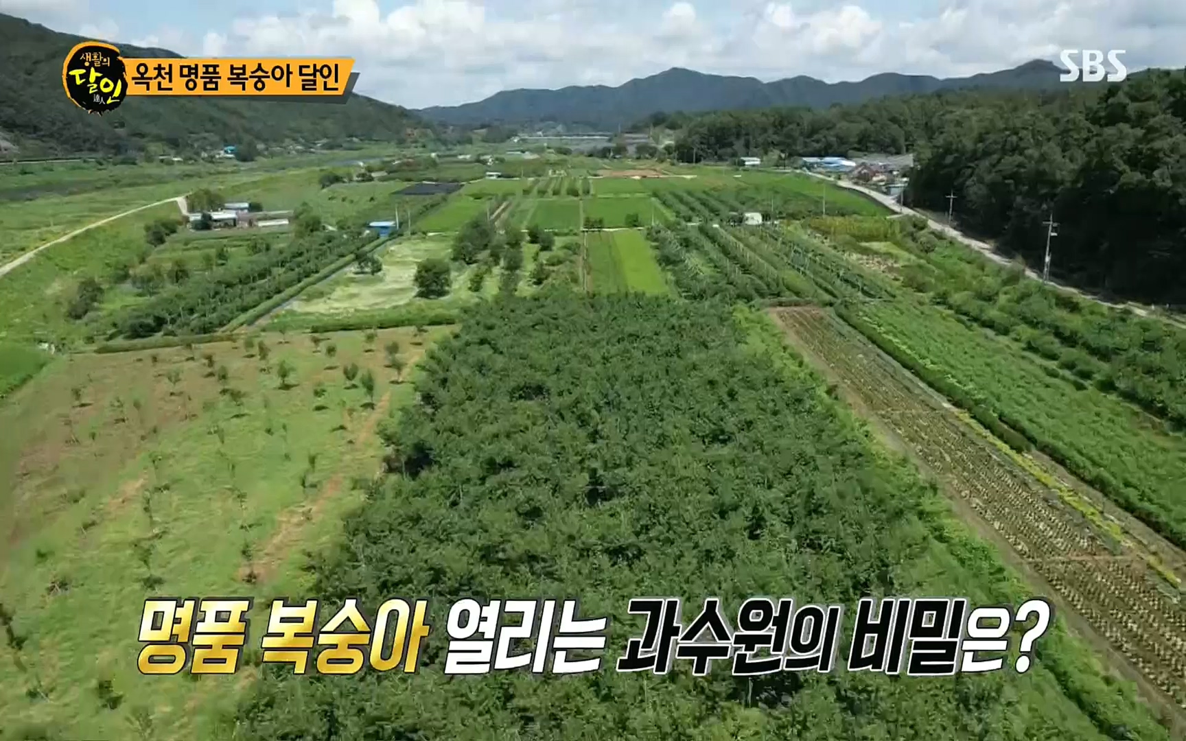 생활의 달인.E856.220815p.H264-F1RST.mp4_20220816_203844.868.jpg