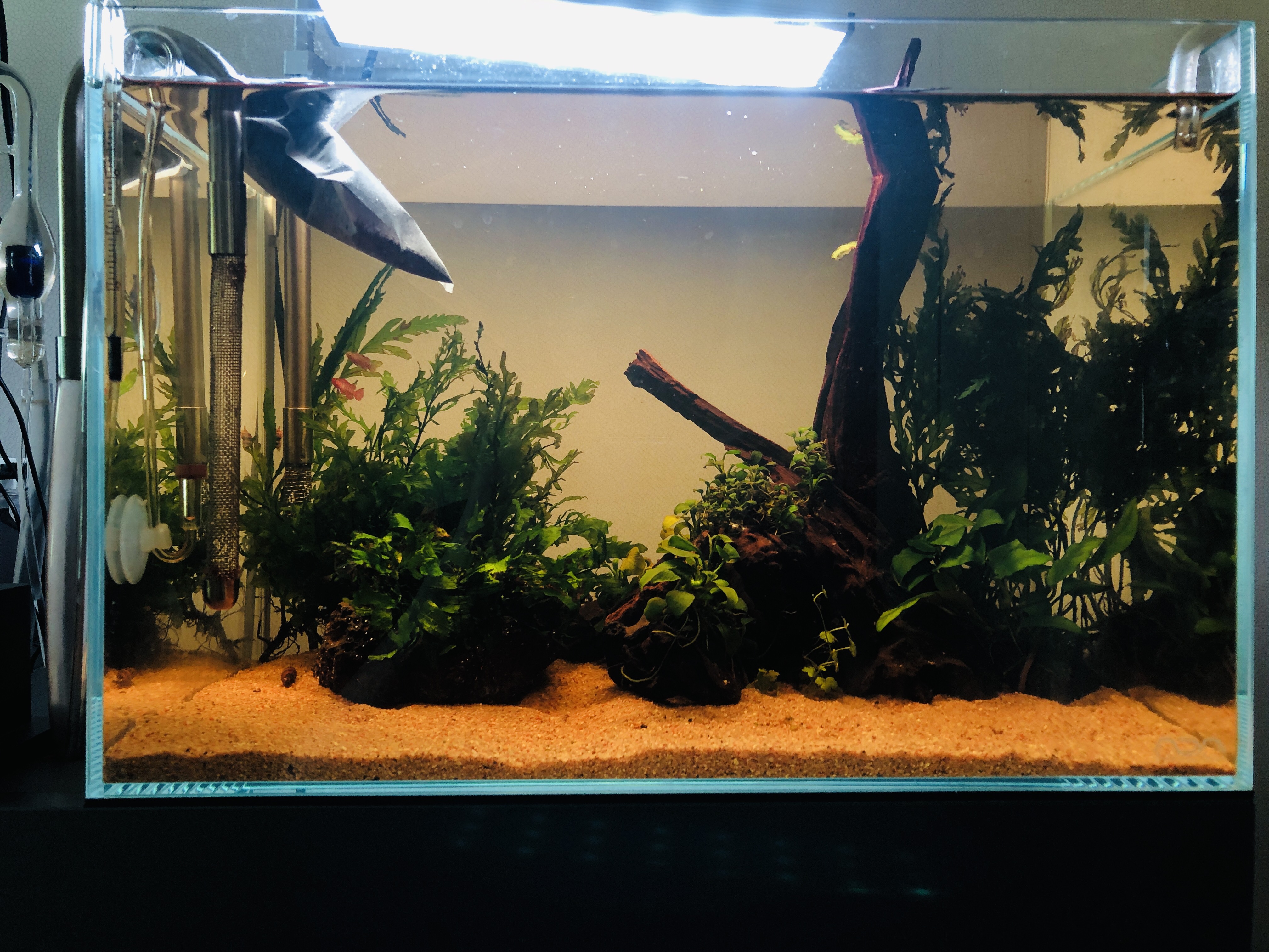  ADA 45p 세팅기