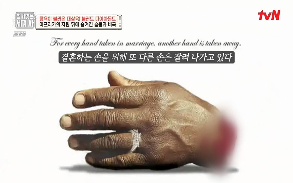 벌거벗은 세계사.E62.220831p-NEXT.mp4_20220905_195333.059.jpg