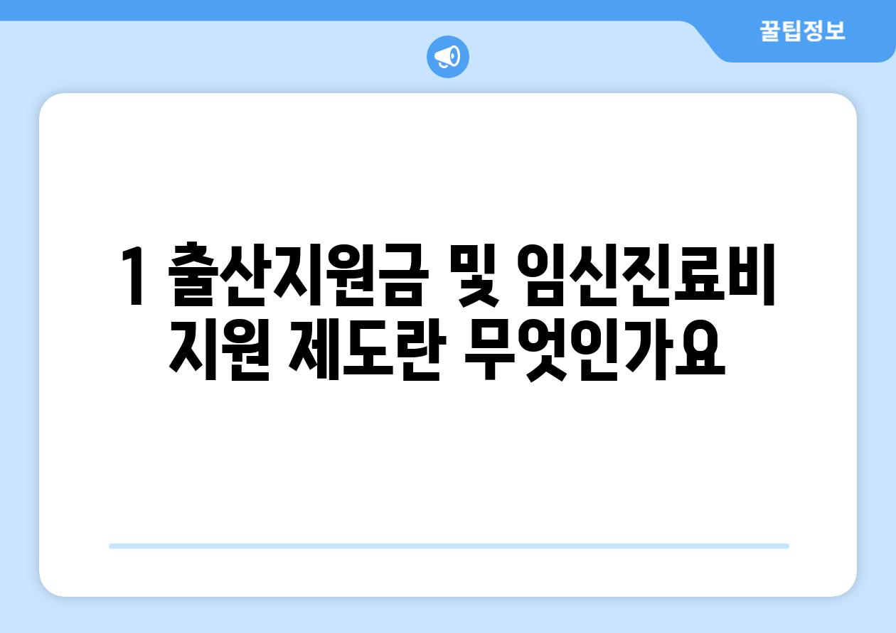 1. 출산지원금 및 임신진료비 지원 제도란 무엇인가요?