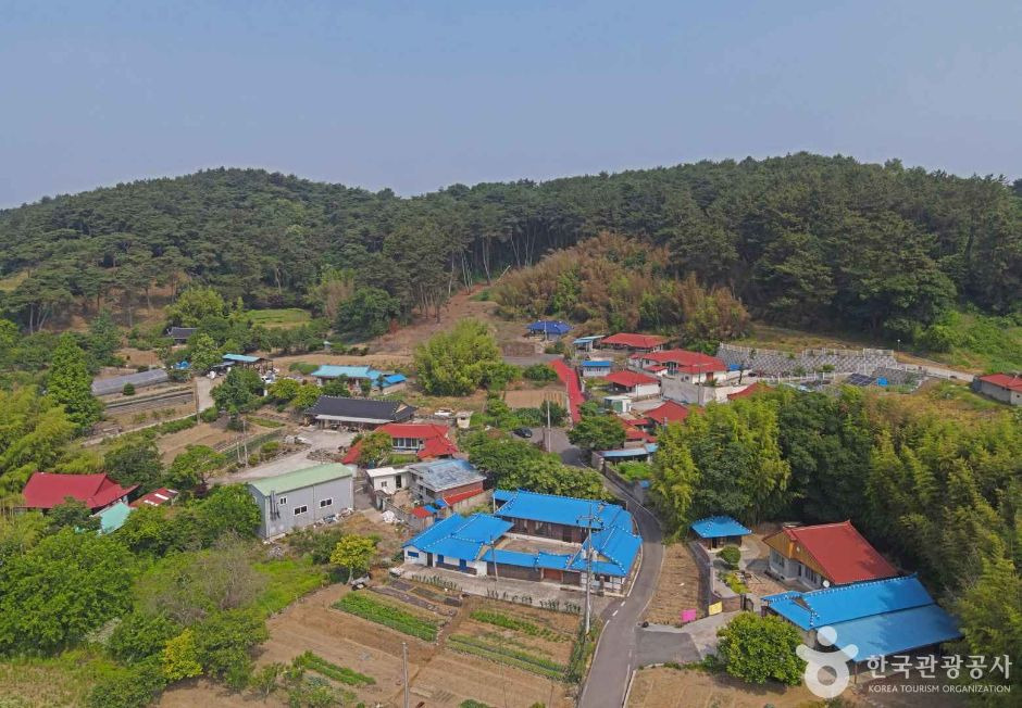 동죽황새마을 이미지