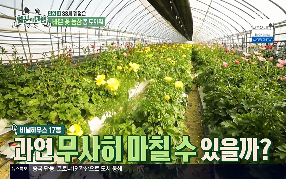 일꾼의 탄생.E21.220428p-NEXT.mp4_20220428_182334.548.jpg