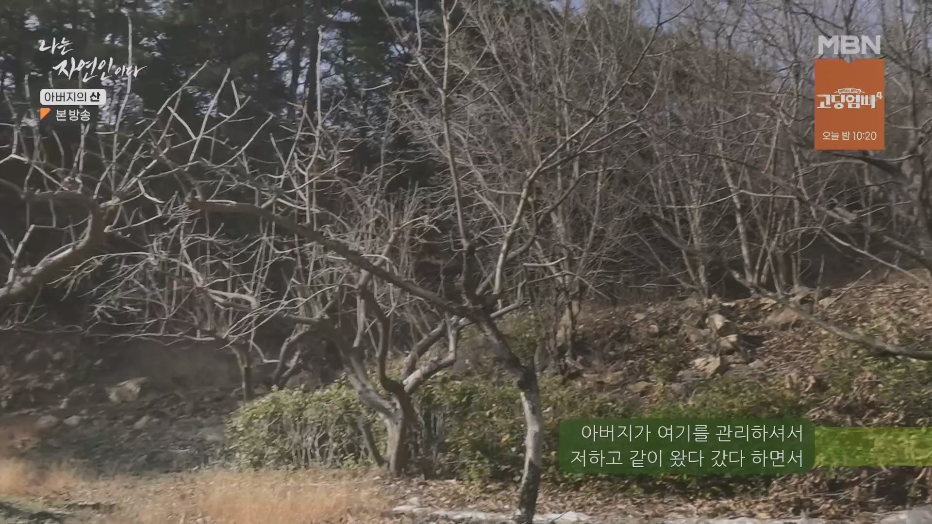 나는 자연인이다.E595.240228p.H264-F1RST.mp4_20240229_200119.351.jpg