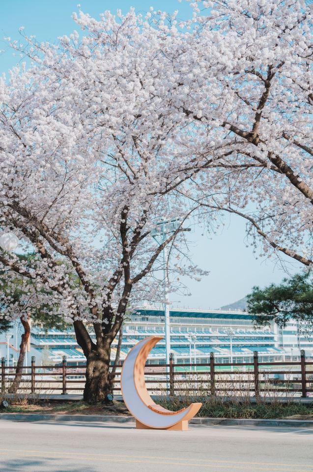 렛츠런파크 벚꽃축제 야경