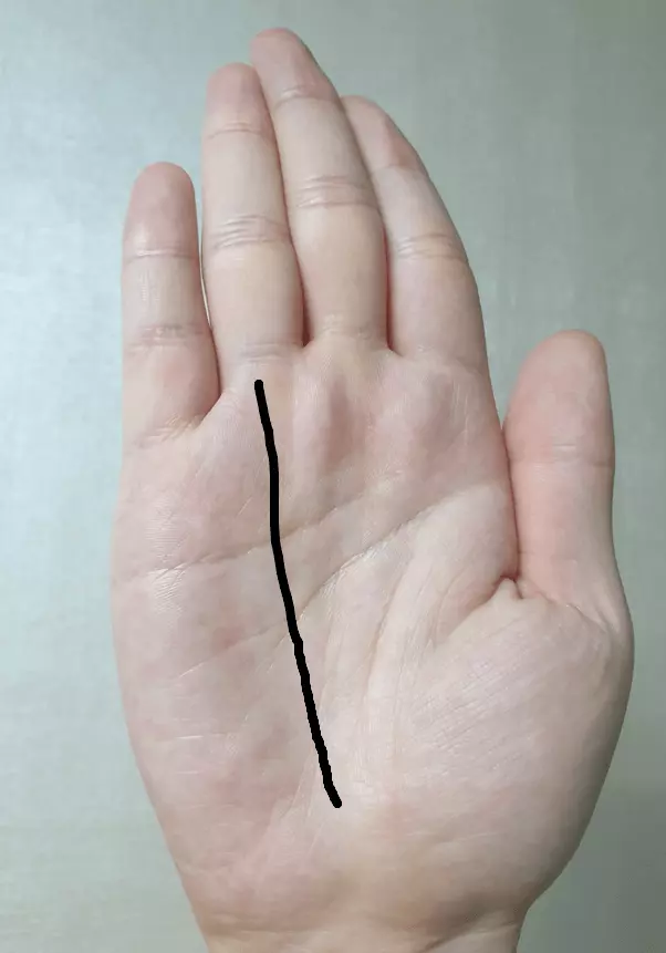 손바닥 선의 위치와 길이