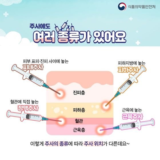  주사 투약 의학용어