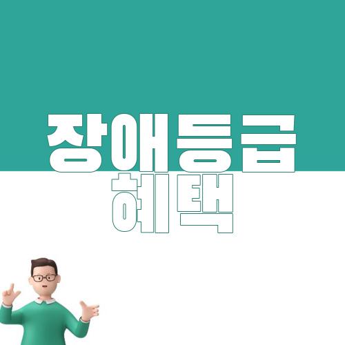 장애등급 혜택