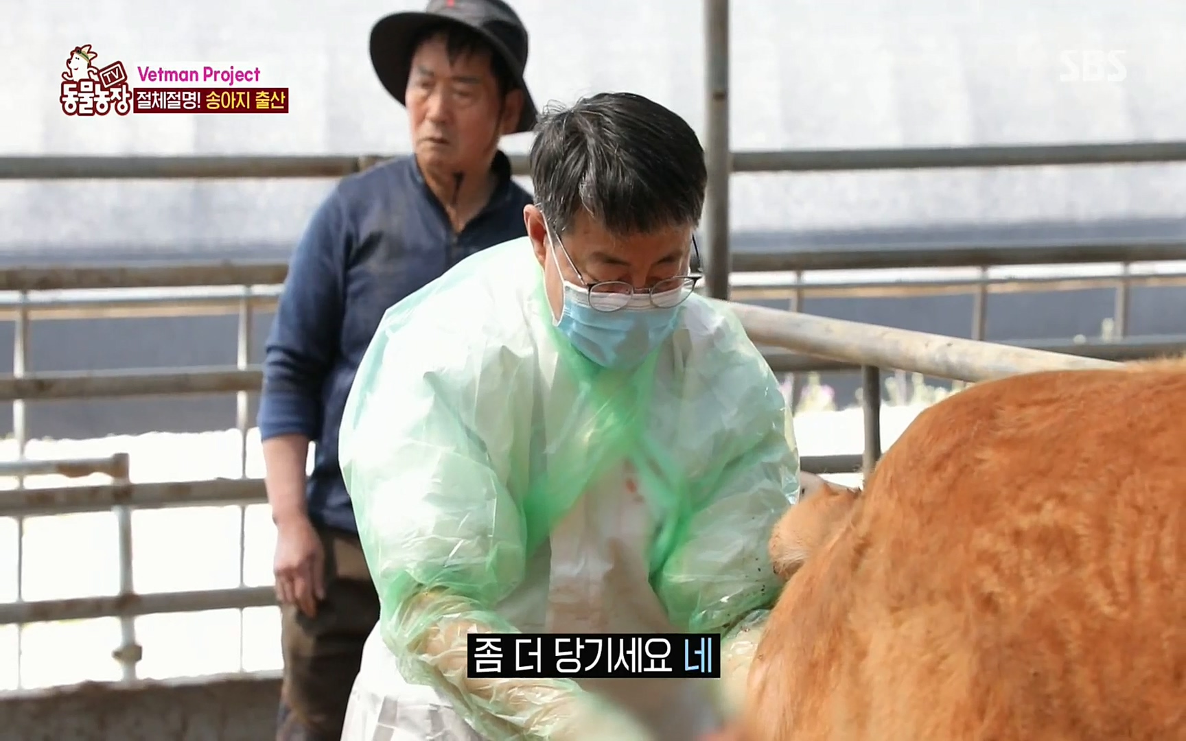 TV 동물농장.E1069.220515p.H264-F1RST.mp4_20220515_180033.004.jpg