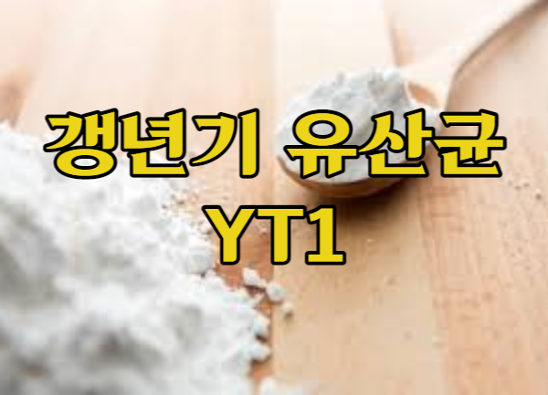 갱년기유산균 YT1