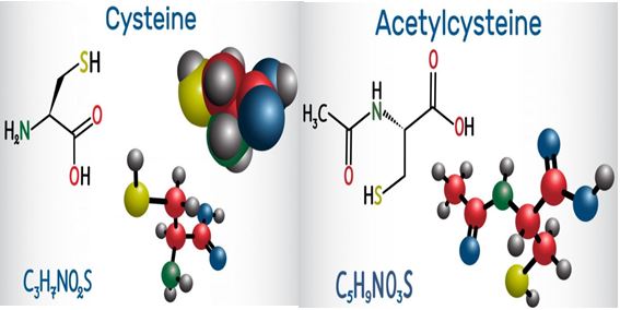  엘시스테인(L Cysteine)과 N 아세틸 시스테인(NAC ,N-acetylcysteine)
