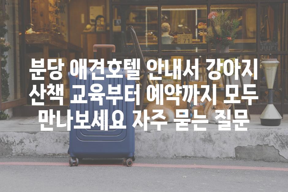 ['분당 애견호텔 안내서| 강아지 산책 교육부터 예약까지 모두 만나보세요!']