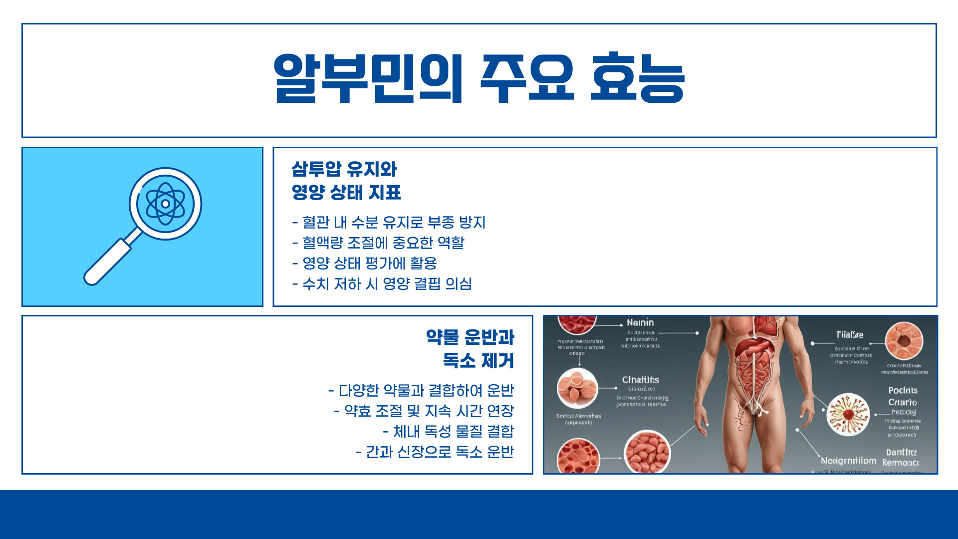 알부민