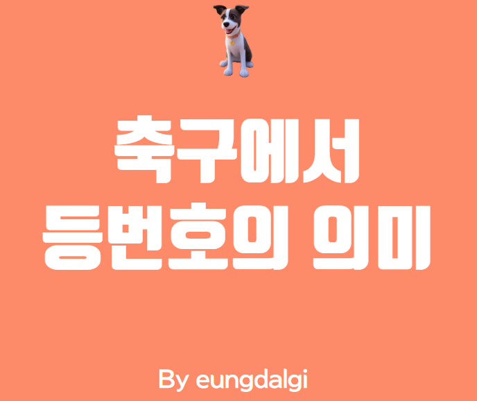  축구에서 등 번호의 의미