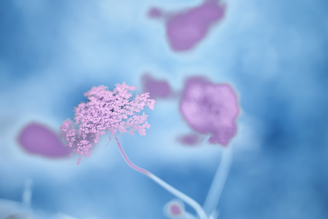 Ovarian Cancer