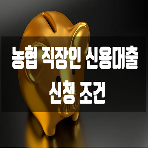  농협 직장인 신용대출 신청조건
