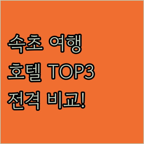 2024년 속초 여행, 놓치면 후회할