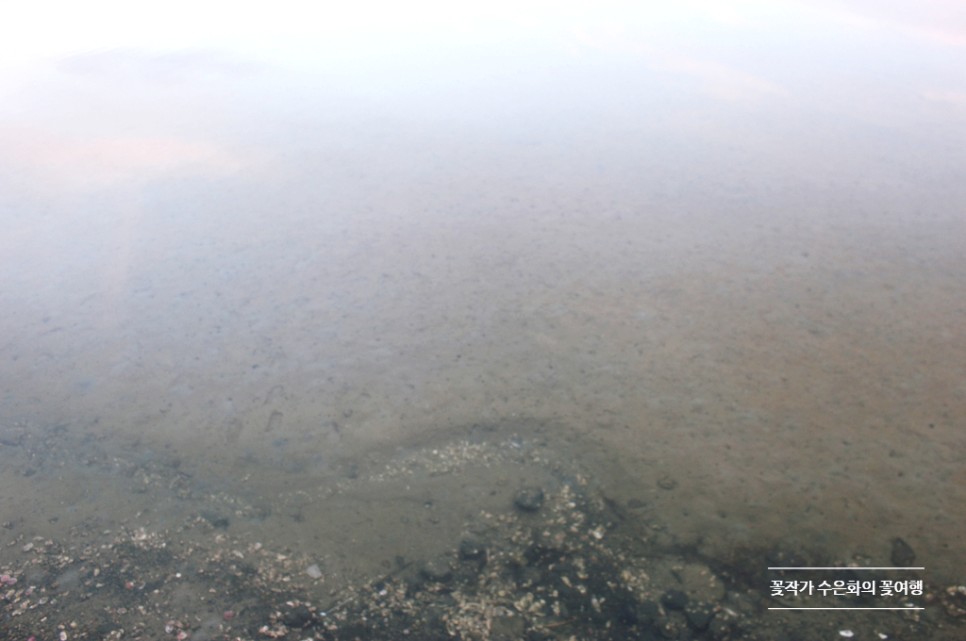 삼천포비토섬 신우리조트 7