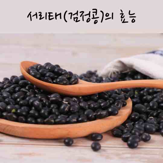 서리태의효능