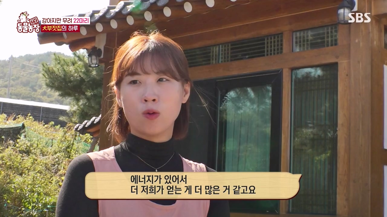 TV 동물농장.E1147.231127p-NEXT.mp4_20231126_170358.743.jpg