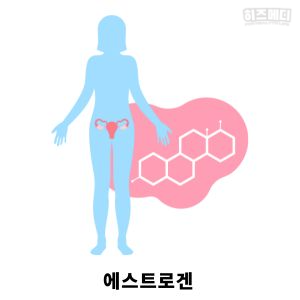 갱년기 증상