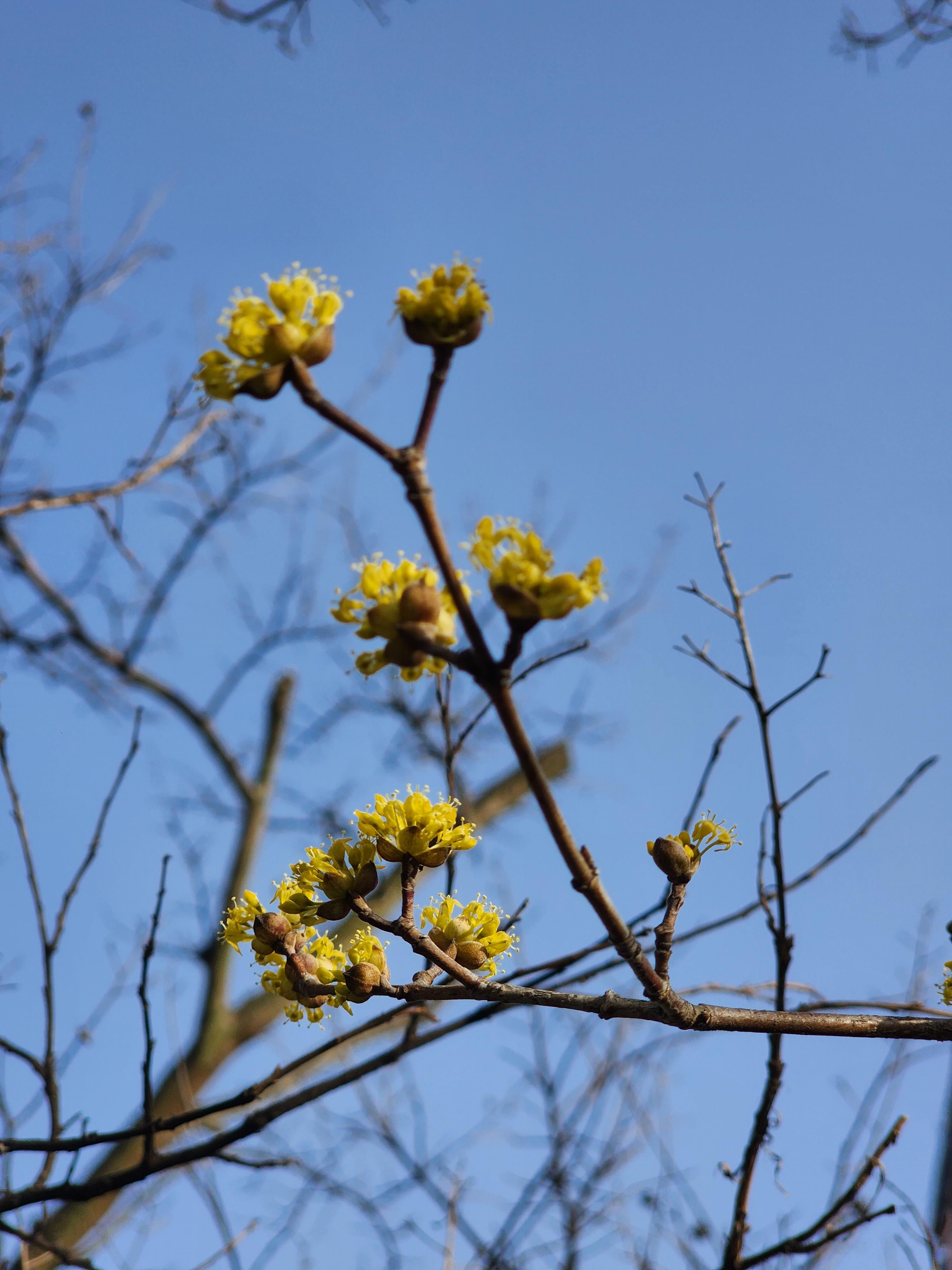 #을왕리 해수욕장 27