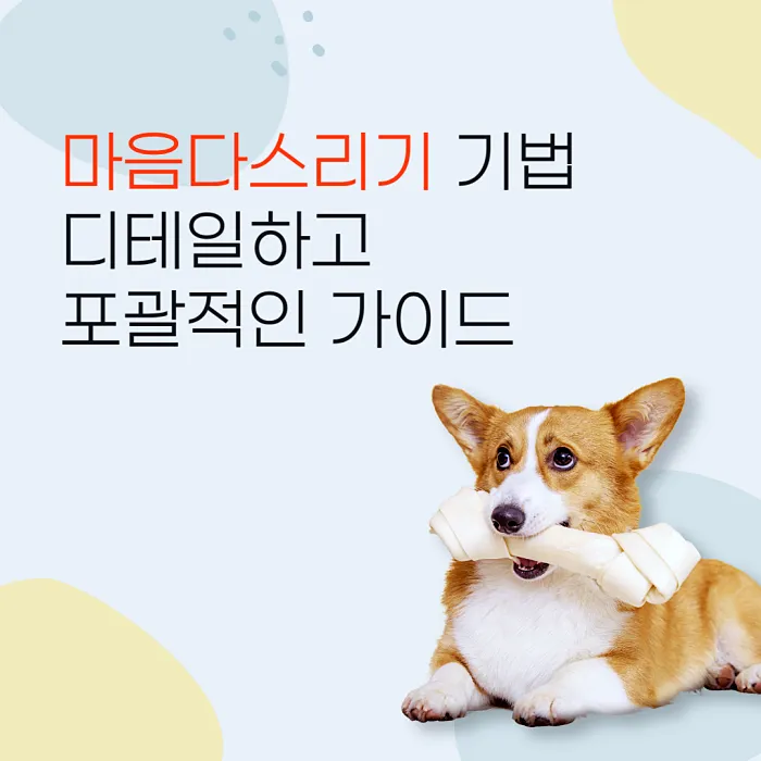  마음다스리기 기법 디테일하고 포괄적인 가이드