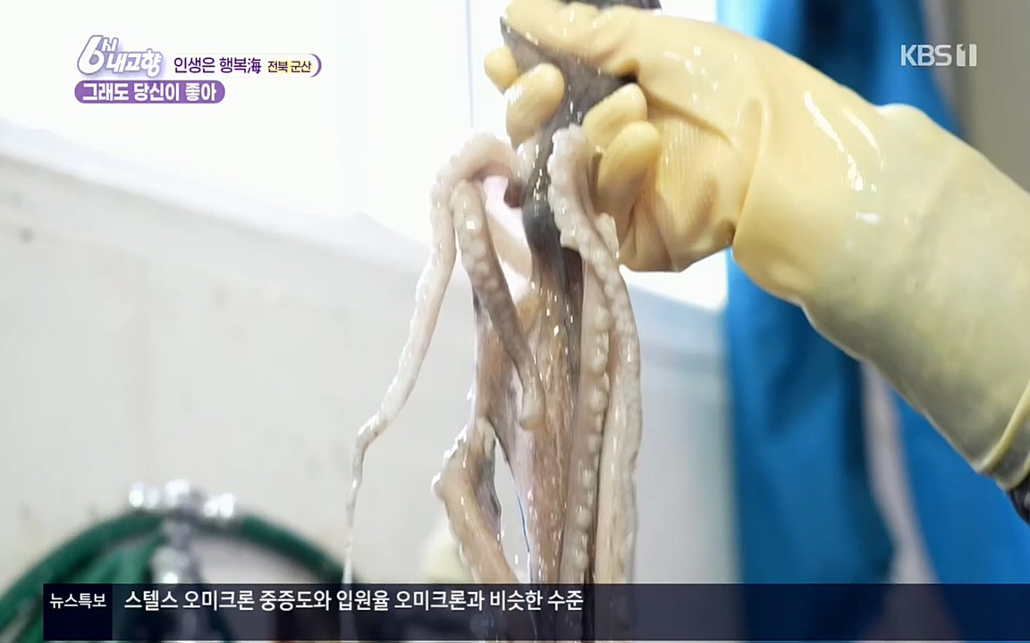 6시 내고향.E7503.220405p.H264-F1RST.mp4_20220405_182929.383.jpg