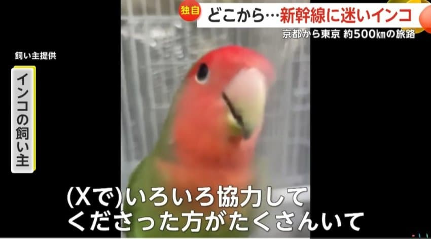 img.jpg