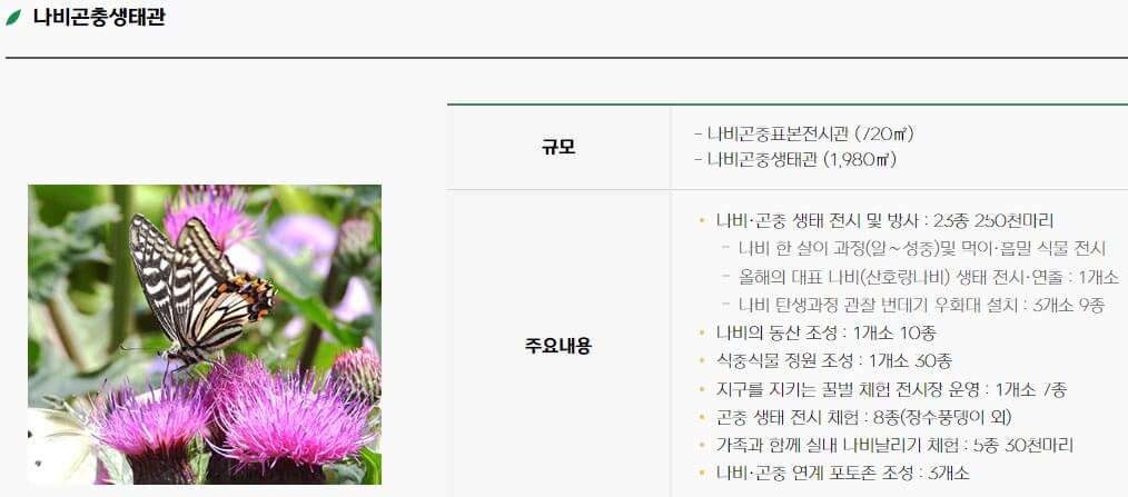 함평 나비 축제